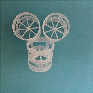 1 (25).jpg