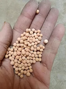 Carbon Molecular Sieve Production Process